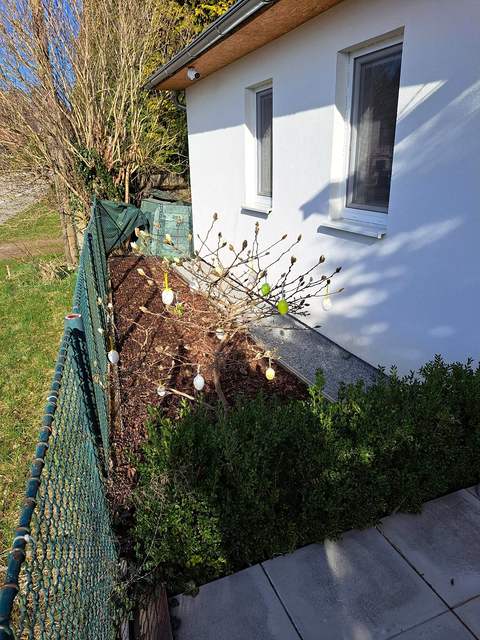 Magnolie a záhon u zahradní stavby Penzionu Mamuna